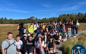 Naturtag (3)