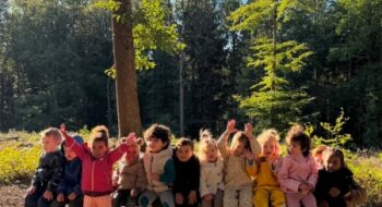 Wald_Elefanten (1) Wald_Elefanten (1)